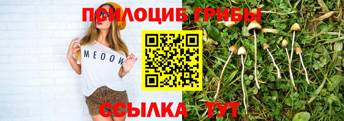 Псилоцибиновые грибы GOLDEN TEACHER Малоярославец