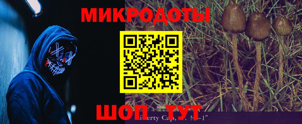 Малоярославец  Псилоцибиновые грибы ЛСД  Вход с VPN 